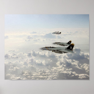 Poster Jollys rogers