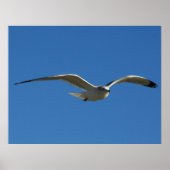 Poster Jonathan (Devant)