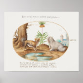 Poster jongen (Voorkant)