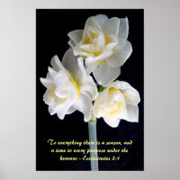 Jonquil Flower - Ecclesiastes 3:1