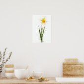 Poster Jonquille (Cuisine)