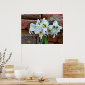 Poster jonquilles près du mur de la forteresse (Cuisine)