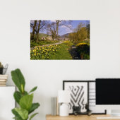 Poster jonquilles printanières jaunes, Bordures, fleurs d (Bureau à domicile)