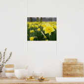 Poster Jonquilles (RF) (Cuisine)