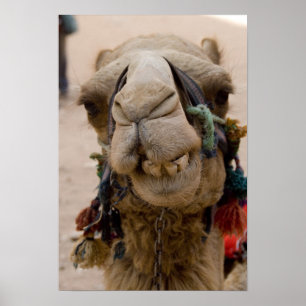 Poster Jordanie, ancienne ville nabatéenne de Petra