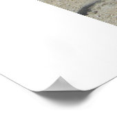 Poster Jordanie Jere' (Coin)