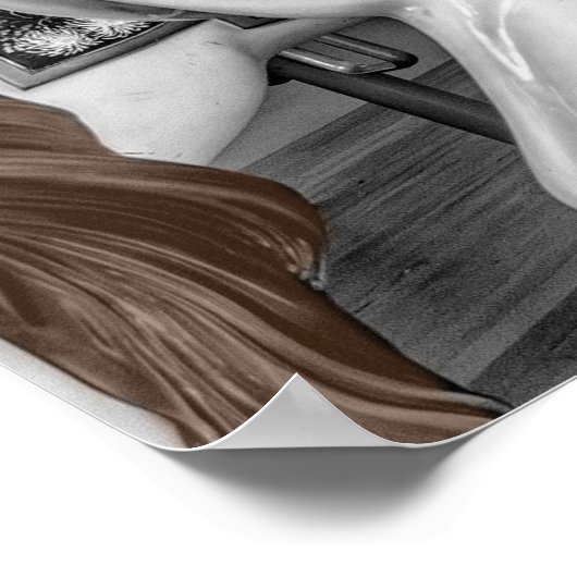 Poster Jory Go Round Carousel Photographie (Coin)