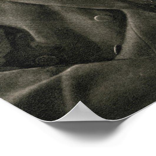 Poster Joseph Chamberlain (Coin)