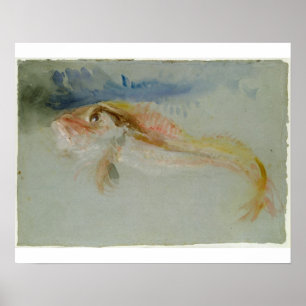 Poster Joseph Mallord William Turner   A Gurnard
