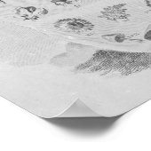 Poster Joseph Pitton de Tournefort (Coin)