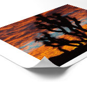 Poster Joshua Tree (Coin)