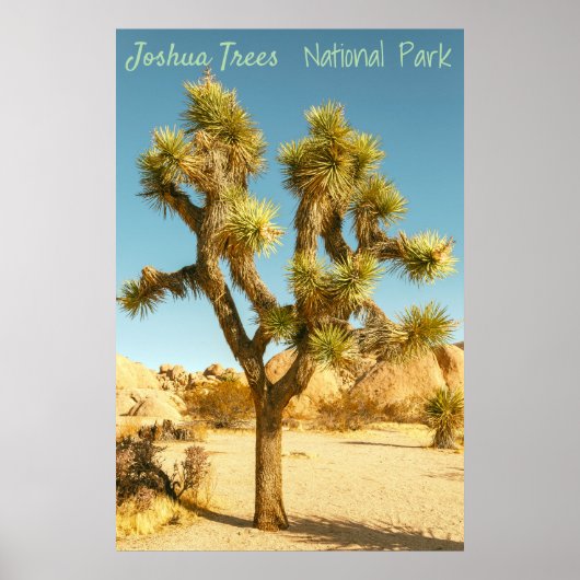 Poster Joshua Tree (Devant)