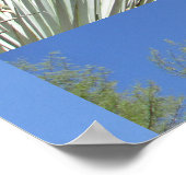 Poster Joshua Tree (Coin)