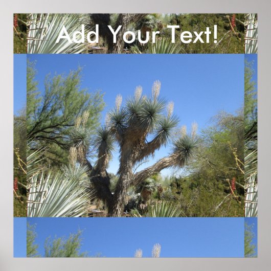 Poster Joshua Tree (Devant)