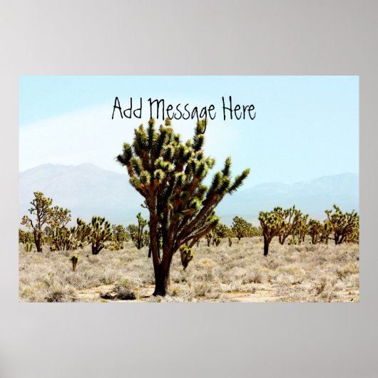 Poster Joshua Tree (Devant)