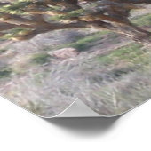 Poster Joshua Tree (Coin)