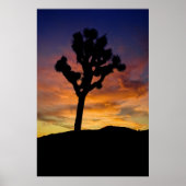 Poster Joshua Tree (Devant)