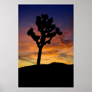 Poster Joshua Tree