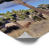 Poster Joshua Tree Parc national de Joshua Tree (Coin)