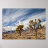 Poster Joshua Trees dans le désert (Devant)