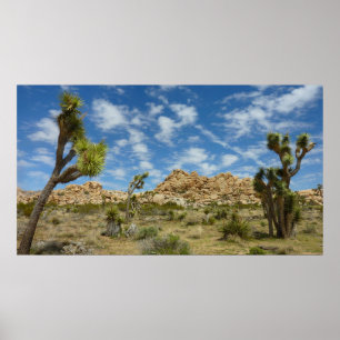 Poster Joshua Trees et Blue Sky Desert Paysage