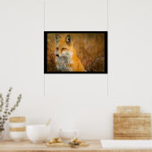 Poster Jote Red Fox Wilderness Nature Photographie (Cuisine)