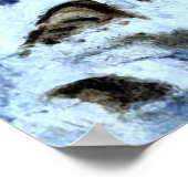 Poster Jotham's Island (now Fox), off Indian Point (Coin)