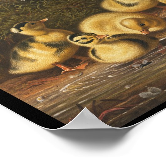 Poster Jouer dans l'étang (Coin)