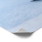 Poster Jouer des lions de mer stellaires lutte sur l'iceb (Coin)