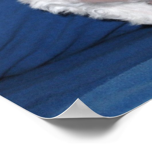 Poster Jouet Parti Poodle pose (Coin)