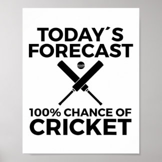Poster Joueur de cricket 10