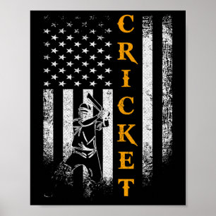 Poster Joueur de cricket vintage Usa Drapeau américain Pa