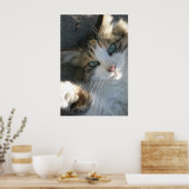 Poster Joueur Kitty (Cuisine)