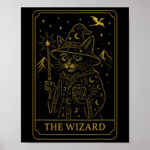 Poster Joueur Rpg Sorcier D20 Dés Drôle Geek Chat Hommes