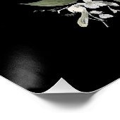 Poster Joueuse de tennis (Coin)