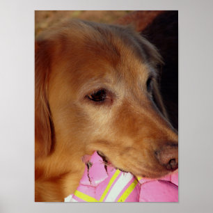 Poster Jouons au bal