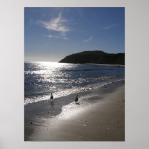 Poster Jour à la plage