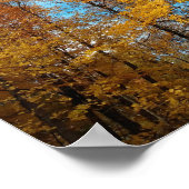 Poster Jour de Crisp Automne (Coin)