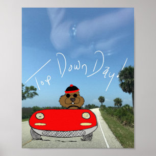 Poster Jour de la marmotte de fond