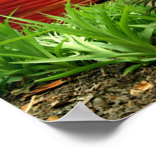 Poster Jour de la romance (Coin)