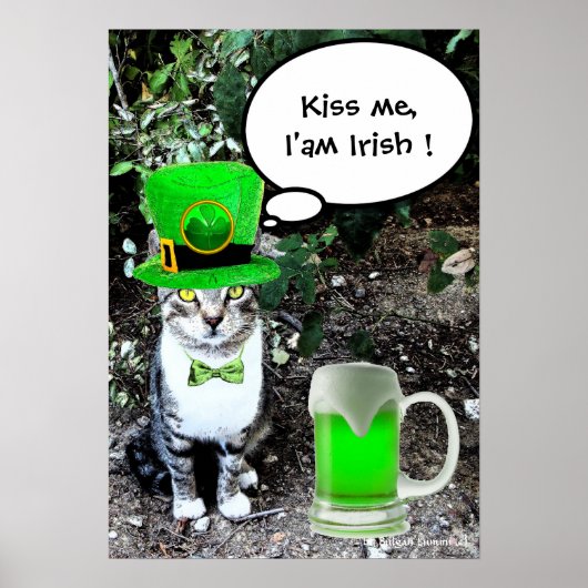 POSTER JOUR DE LA SAINT-PATRICK CHAT AVEC BIÈRE IRLANDAIS (Devant)
