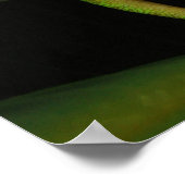 Poster Jour de poussière d'or Gecko à Flower (Coin)