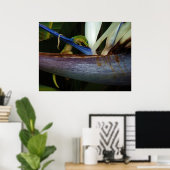 Poster Jour de poussière d'or Gecko à Flower (Bureau à domicile)