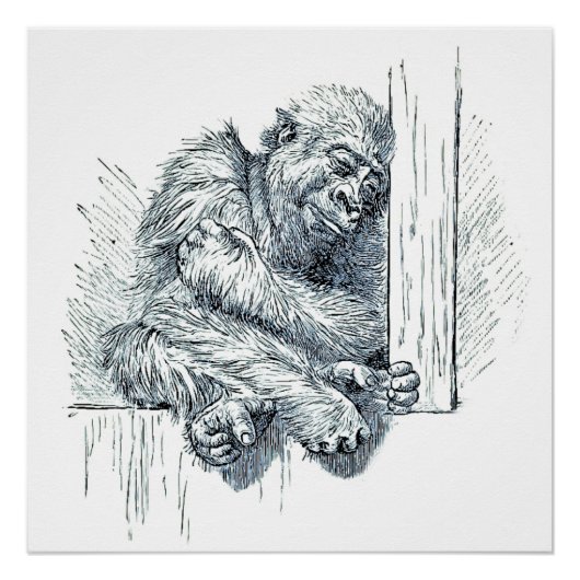 Poster Jour de repos - Young Ape Gorilla (Devant)