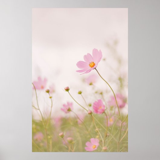 POSTER JOUR DE WINDY (Devant)