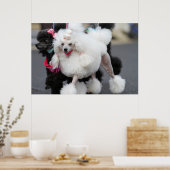 Poster Jour des canicules 2010 #6 (Cuisine)