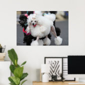 Poster Jour des canicules 2010 #6 (Bureau à domicile)