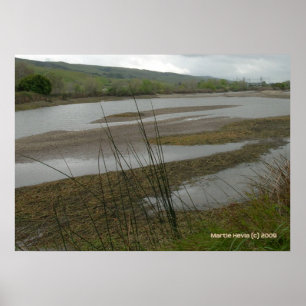 Poster Jour des pluies de Coyote Creek