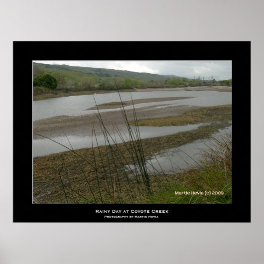 Poster "Jour des pluies de Coyote Creek" (Devant)
