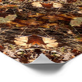 Poster Jour des terres 2020.... (Coin)